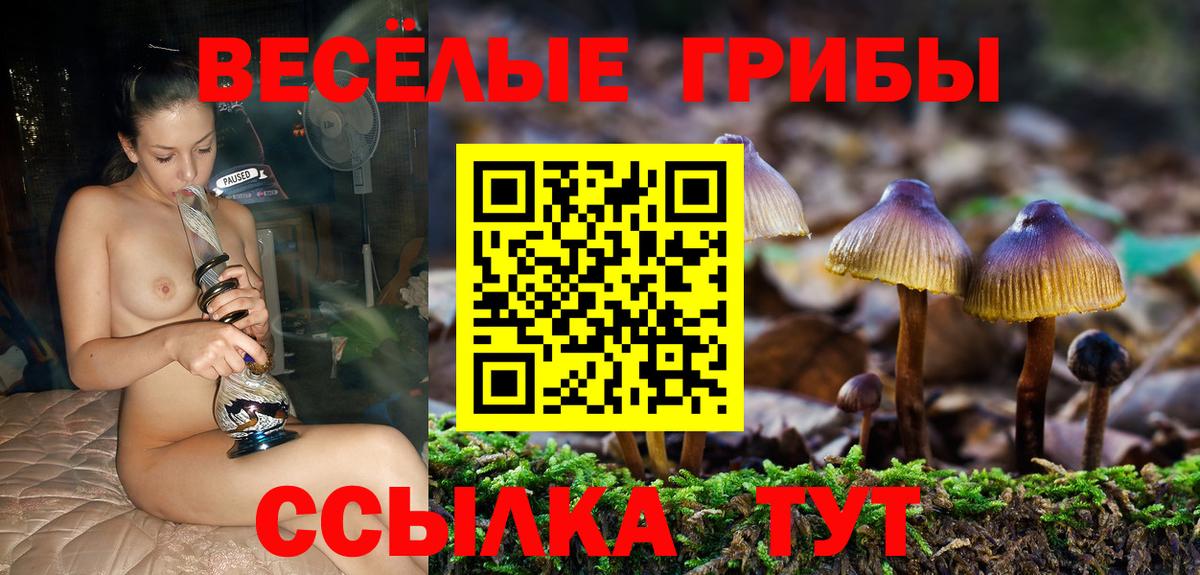 Галлюциногенные грибы Magic Shrooms  Вход с VPN  Псилоцибиновые грибы прущие грибы  Ульяновск 