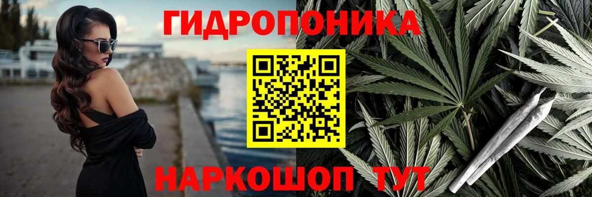 Шишки марихуана MAZAR Ульяновск